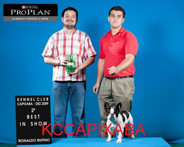 Clique sobre a foto para fechar